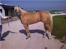 After Equi-Gloss
